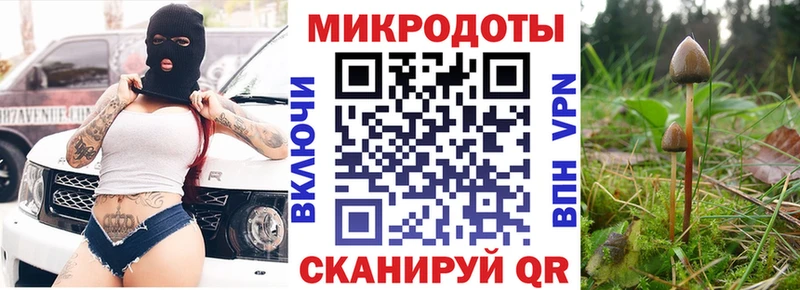 Галлюциногенные грибы Psilocybine cubensis blacksprut зеркало Фролово где купить наркоту